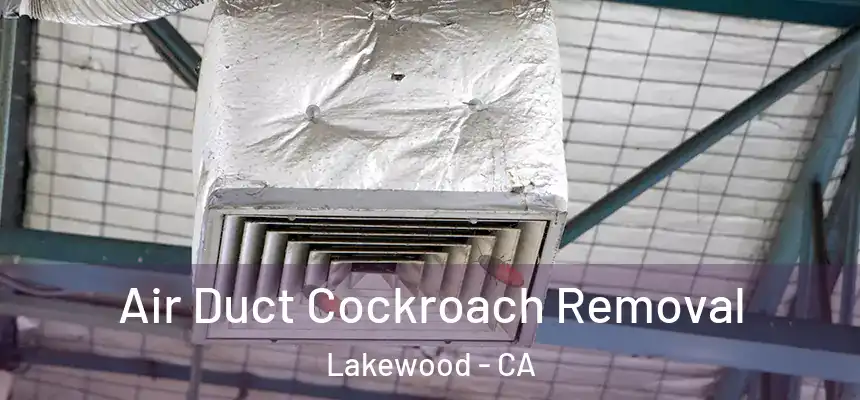 Air Duct Cockroach Removal Lakewood - CA
