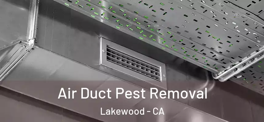 Air Duct Pest Removal Lakewood - CA