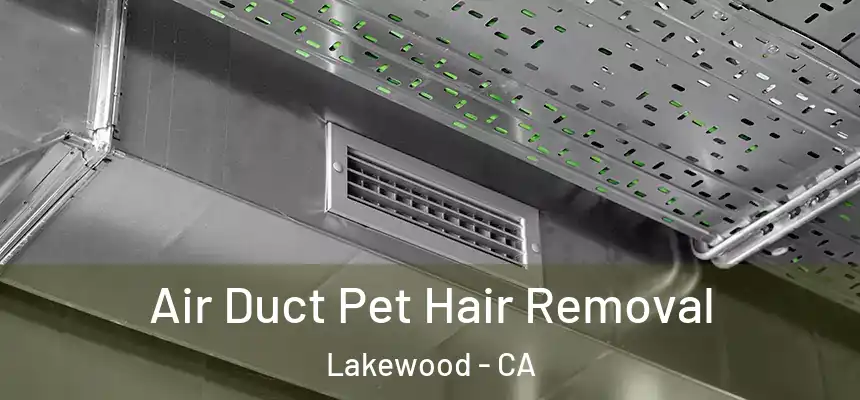 Air Duct Pet Hair Removal Lakewood - CA