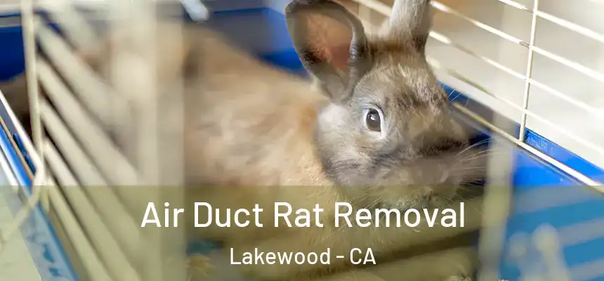 Air Duct Rat Removal Lakewood - CA