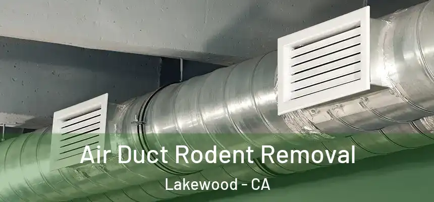 Air Duct Rodent Removal Lakewood - CA