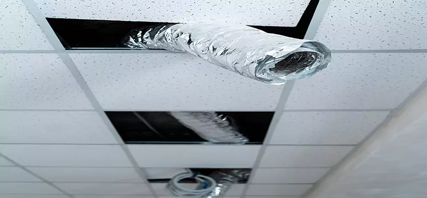 Our Air Duct Pet Hair Removal Services in Lakewood, CA