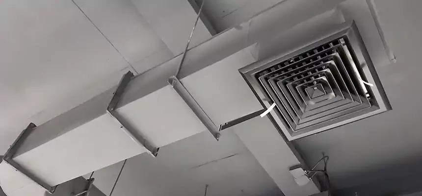 Our Pest Removal From Ducts Services in Lakewood, CA