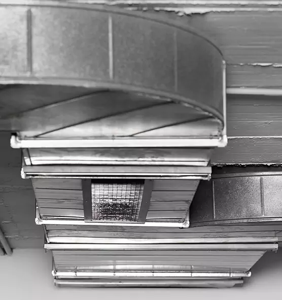 Professional Air Duct Pet Hair Removal in Lakewood, CA