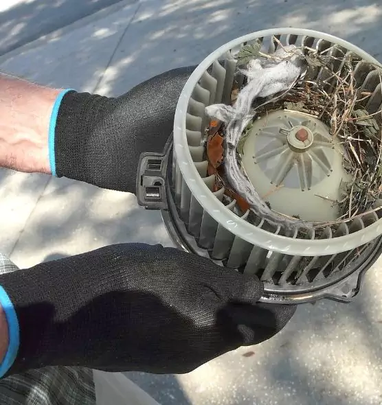 About Air Duct Rat Removal in Lakewood, CA