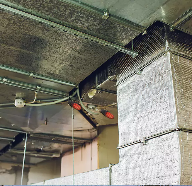 Why Homeowners & Businesses Trust Us in Lakewood, CA?