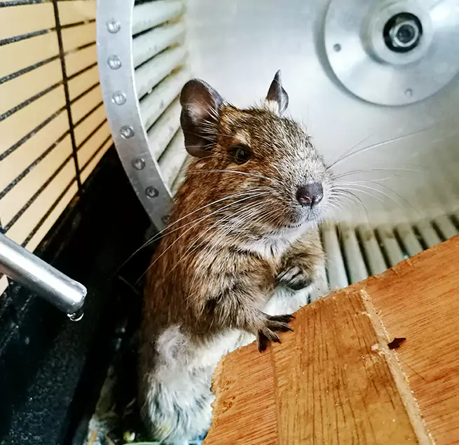 Why Homeowners & Businesses Trust Us Lakewood, CA