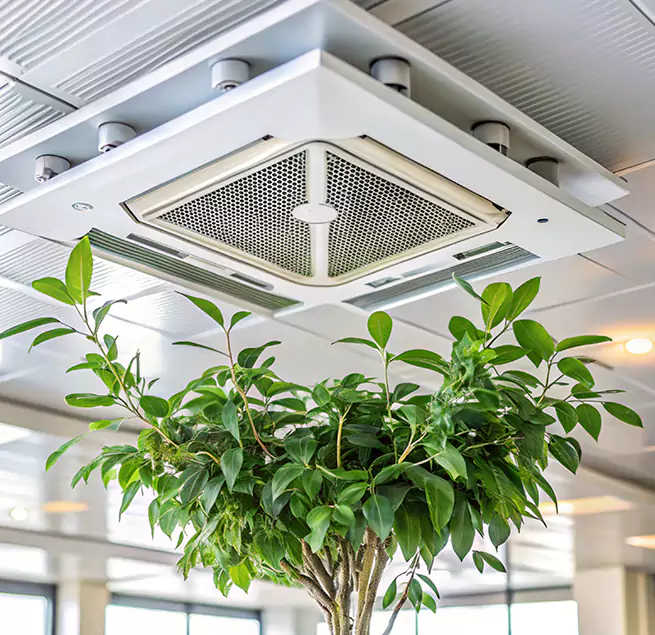 Why Homeowners & Businesses Trust Us in Lakewood, CA?