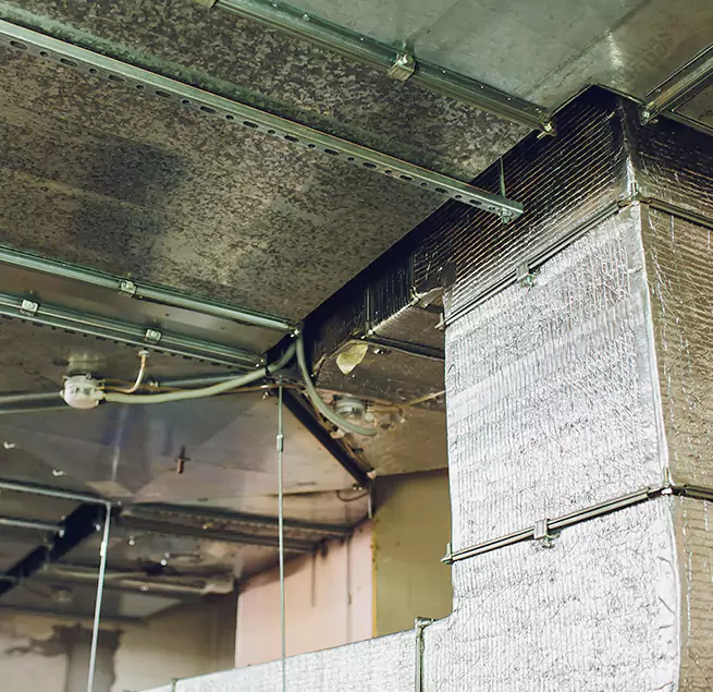 Why Homeowners & Businesses Trust Us in Lakewood, CA?